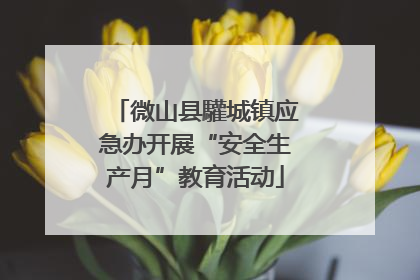微山县驩城镇应急办开展“安全生产月”教育活动