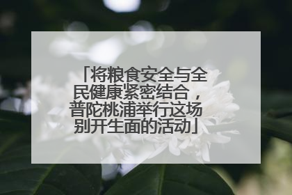 将粮食安全与全民健康紧密结合，普陀桃浦举行这场别开生面的活动