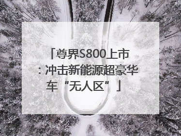 尊界S800上市：冲击新能源超豪华车“无人区”