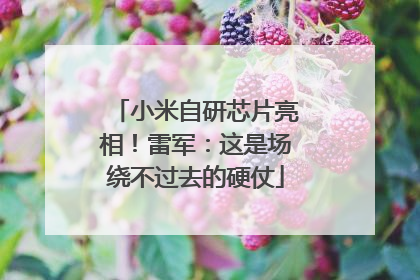 小米自研芯片亮相！雷军：这是场绕不过去的硬仗