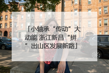 小轴承“传动”大动能 浙江新昌“拼”出山区发展新路