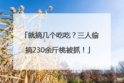就摘几个吃吃？三人偷摘230余斤桃被抓！