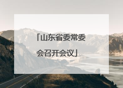 山东省委常委会召开会议