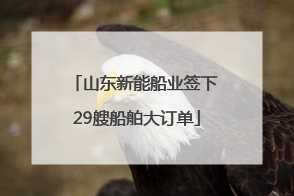 山东新能船业签下29艘船舶大订单