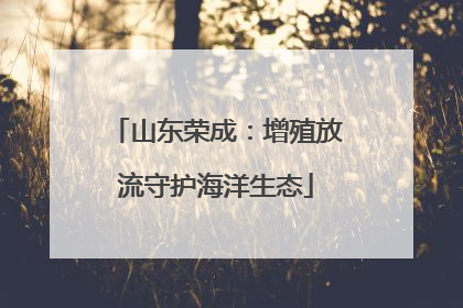 山东荣成：增殖放流守护海洋生态