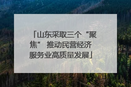山东采取三个“聚焦” 推动民营经济服务业高质量发展