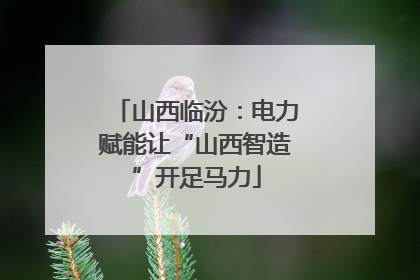 山西临汾：电力赋能让“山西智造”开足马力