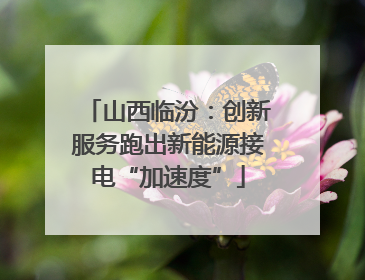 山西临汾：创新服务跑出新能源接电“加速度”