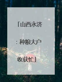 山西永济：种粮大户收获忙