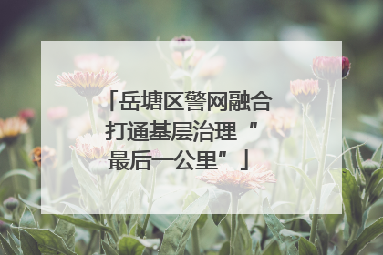 岳塘区警网融合 打通基层治理“最后一公里”