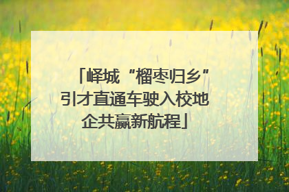 峄城“榴枣归乡”引才直通车驶入校地企共赢新航程