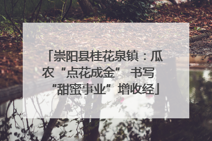 崇阳县桂花泉镇：瓜农“点花成金” 书写“甜蜜事业”增收经