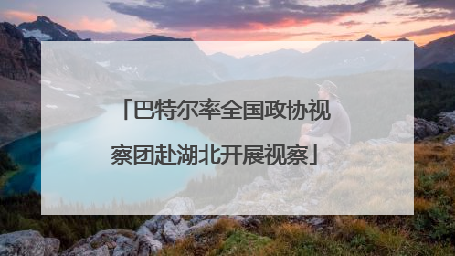巴特尔率全国政协视察团赴湖北开展视察