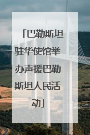 巴勒斯坦驻华使馆举办声援巴勒斯坦人民活动
