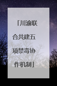 川渝联合共建五项禁毒协作机制