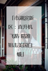 市湖滨新区：直升机飞防 精准狙击美国白蛾