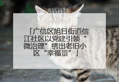 广信区旭日街道信江社区以党建引领“微治理”绣出老旧小区“幸福景”