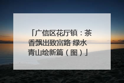 广信区花厅镇：茶香飘出致富路 绿水青山绘新篇（图）
