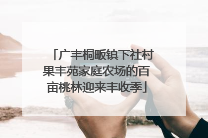 广丰桐畈镇下社村果丰苑家庭农场的百亩桃林迎来丰收季