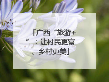 广西“旅游+”：让村民更富、乡村更美