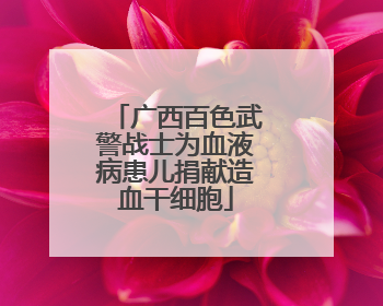 广西百色武警战士为血液病患儿捐献造血干细胞