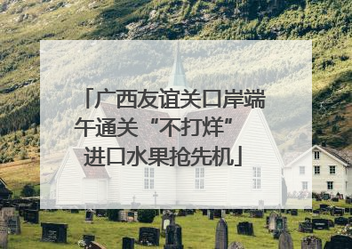 广西友谊关口岸端午通关“不打烊” 进口水果抢先机