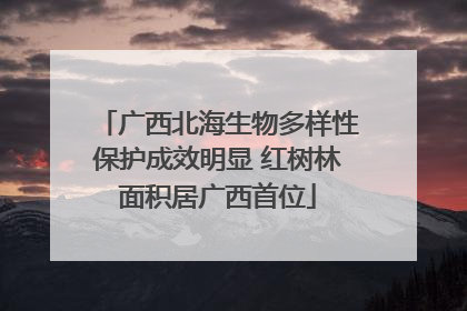 广西北海生物多样性保护成效明显 红树林面积居广西首位