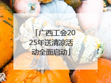 广西工会2025年送清凉活动全面启动