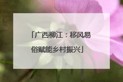 广西柳江：移风易俗赋能乡村振兴