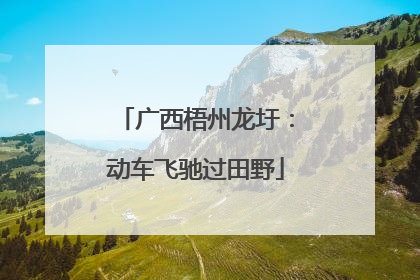 广西梧州龙圩：动车飞驰过田野