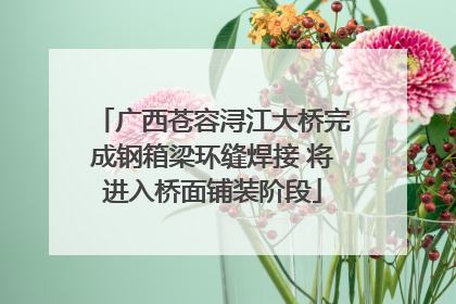 广西苍容浔江大桥完成钢箱梁环缝焊接 将进入桥面铺装阶段