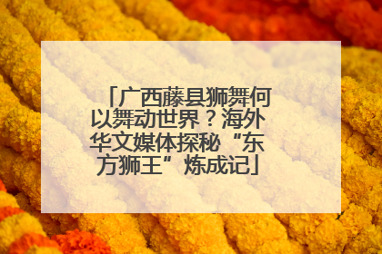 广西藤县狮舞何以舞动世界？海外华文媒体探秘“东方狮王”炼成记