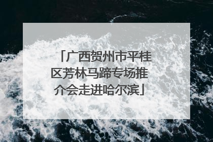 广西贺州市平桂区芳林马蹄专场推介会走进哈尔滨