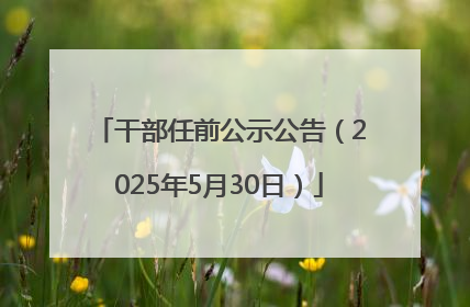 干部任前公示公告（2025年5月30日）