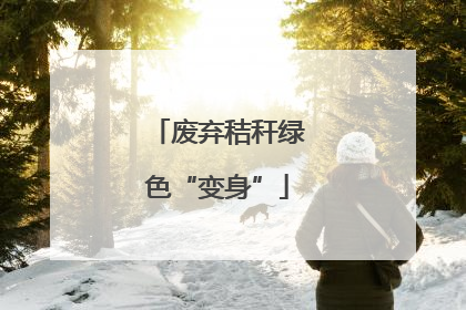 废弃秸秆绿色“变身”