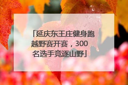 延庆东王庄健身跑越野赛开赛，300名选手竞逐山野