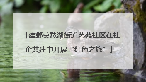 建邺莫愁湖街道艺苑社区在社企共建中开展“红色之旅”