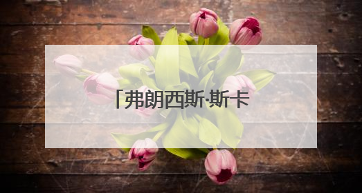 弗朗西斯·斯卡尔帕莱贾当选加拿大众议院议长