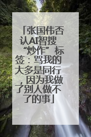 张国伟否认AI智搜“炒作”标签：骂我的大多是同行，因为我做了别人做不了的事