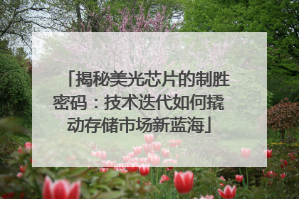 揭秘美光芯片的制胜密码：技术迭代如何撬动存储市场新蓝海