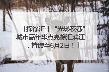 探徐汇｜“光影夜巷”城市嘉年华点亮徐汇滨江，持续至6月2日！