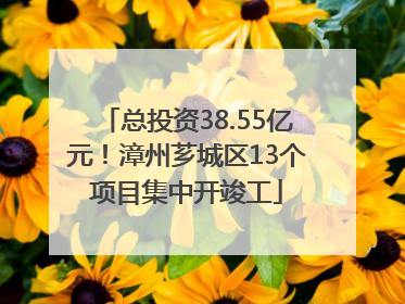 总投资38.55亿元！漳州芗城区13个项目集中开竣工