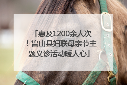 惠及1200余人次！鲁山县妇联母亲节主题义诊活动暖人心