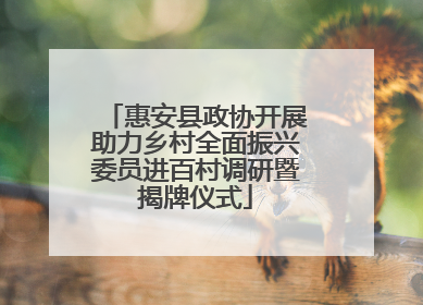 惠安县政协开展助力乡村全面振兴委员进百村调研暨揭牌仪式