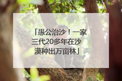 愚公治沙！一家三代20多年在沙漠种出万亩林