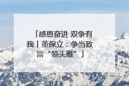感恩奋进 双争有我丨董保立：争当致富“领头雁”