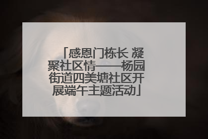 感恩门栋长 凝聚社区情——杨园街道四美塘社区开展端午主题活动