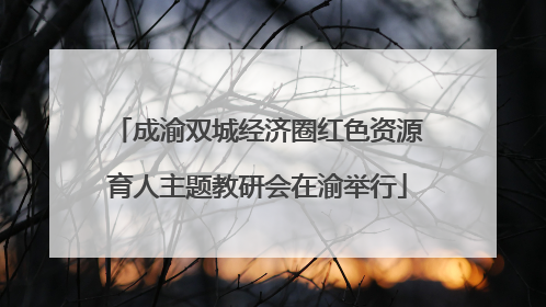 成渝双城经济圈红色资源育人主题教研会在渝举行