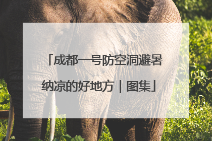 成都一号防空洞避暑纳凉的好地方｜图集