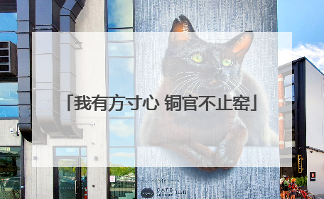 我有方寸心 铜官不止窑